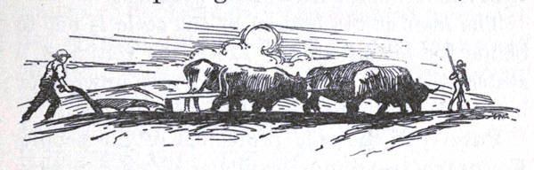 The Oxen Stage of Agriculture