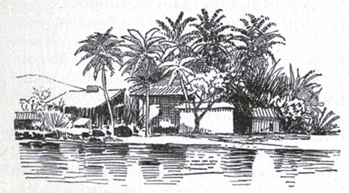 Riverside Plantation