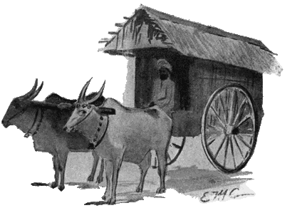 Ox drawn covered wagon