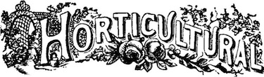 Illustration: Horticultural