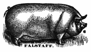 Illustration: Falstaff