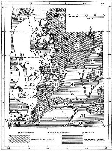 Fig. 1. Map showing the distribution of species and
subspecies of pocket gophers in Utah.