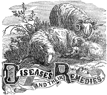 Diseases and their Remedies