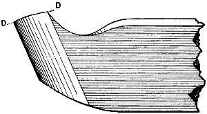 Fig. 929