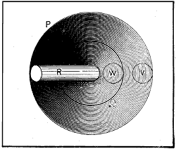Fig. 1053