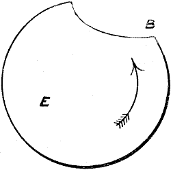 Fig. 1976
