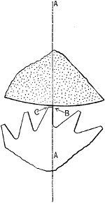 Fig. 2002