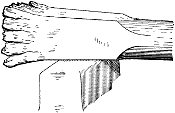 Fig. 3017