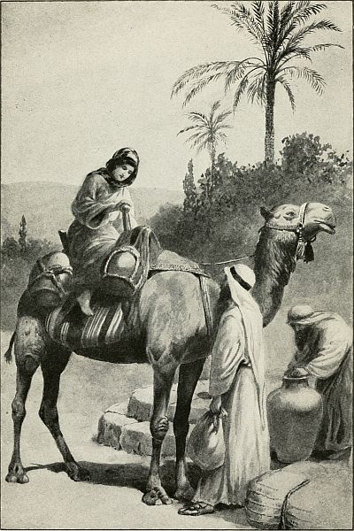 On a camel