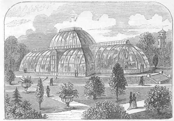 Palm-House, Kew Gardens