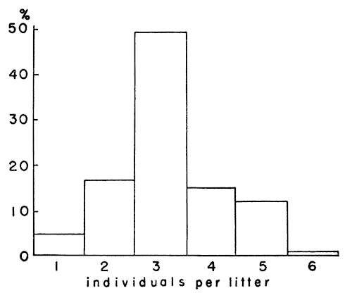  Distribution of litter size among 65 litters
of voles
