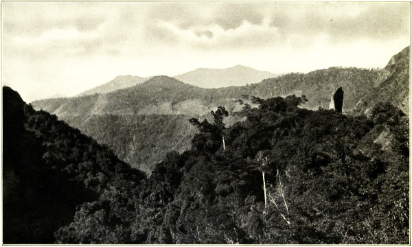CAIRNS RANGE AND ROBB'S MONUMENT, NORTH QUEENSLAND