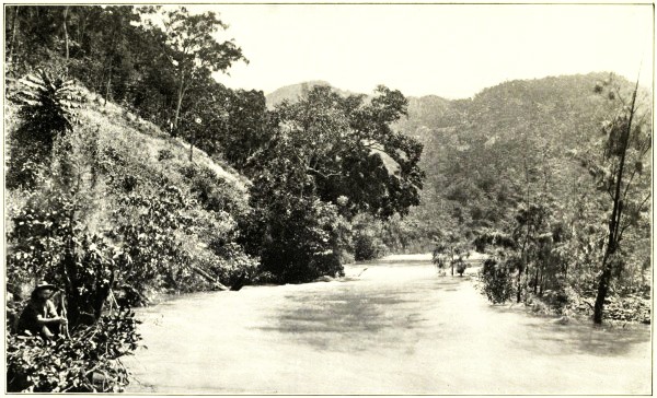 VIEW ON BARRON RIVER, CAIRNS RAILWAY