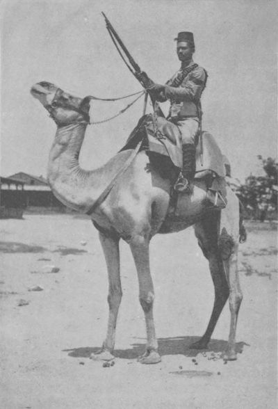 ONE OF THE CAMEL CORPS OF EGYPT