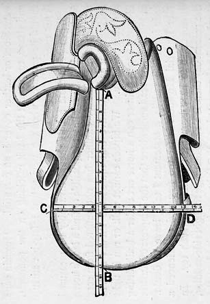 Drawing of a saddle