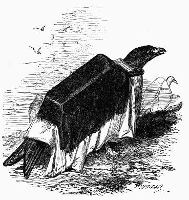 Kite carrying coffin