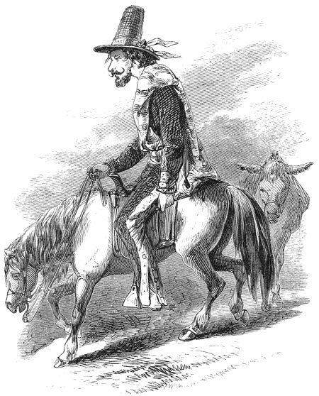 A Spanish Caballero