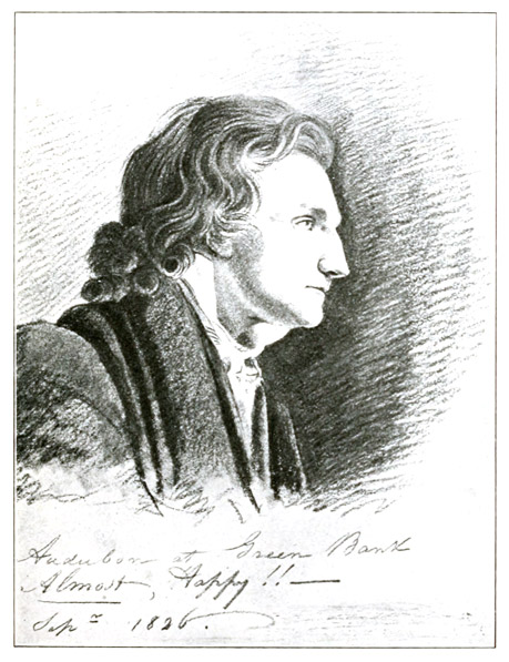 FROM A PENCIL SKETCH OF AUDUBON