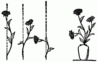 diagram of how to arrange flowers