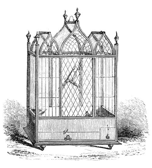 CANARY CAGE FOR PARLOUR.