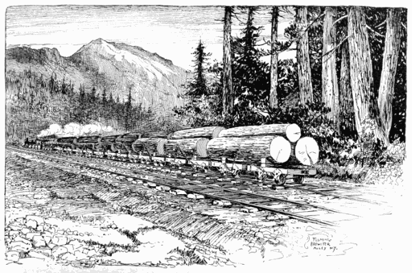 Train-load of logs