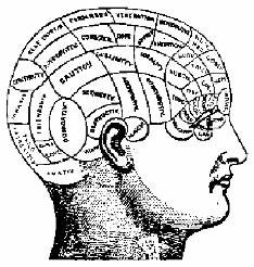 Cranial map of brain functions.