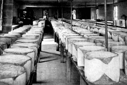 Cheddar cheese curing-room.