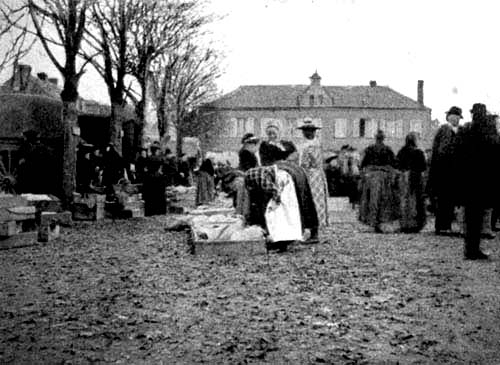 A typical cheese-market in France.