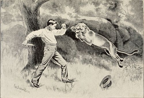Panther jumping on boy who is holding knife