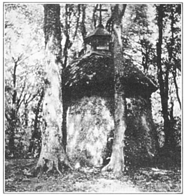 THE CHAPEL IN THE WOODS