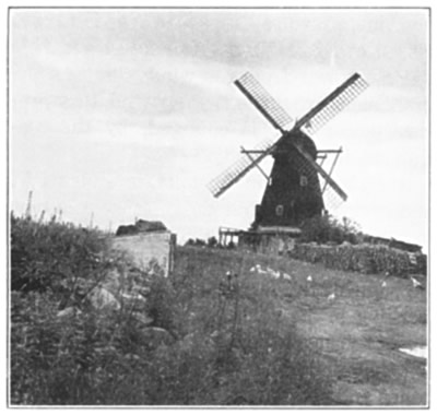 THE WINDMILLS PROVIDE ELECTRIC POWER