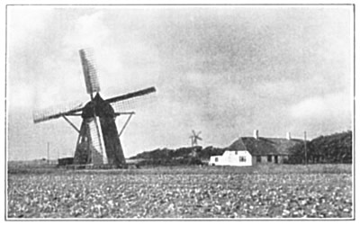 ALMOST EVERY FARM HAS ITS WINDMILL