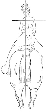 Fig. 21.—Crooked Position in Saddle. Miss X.