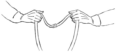 Fig. 25.—Snaffle-reins; one in each hand.