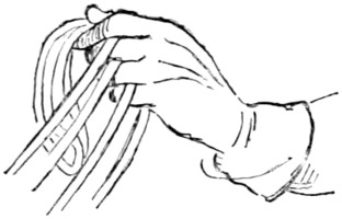 Fig. 27.—Double bridle: all reins in the bridle-hand.