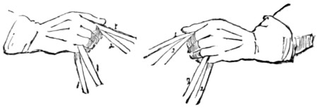 Fig. 28.—Double bridle; a snaffle and a curb
rein in each hand.