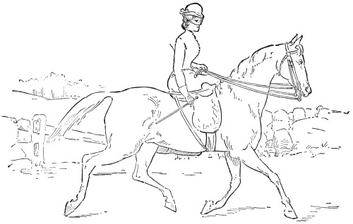 Fig. 30.—The Trot.
