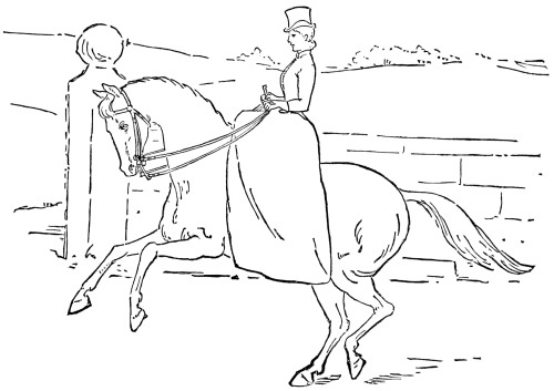 Fig. 31.—Entering upon the Canter with the Right Leg leading.