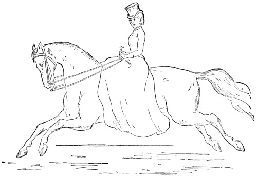 Fig. 32.—The Flying Gallop.
