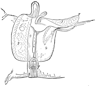 Fig. 7.—English Saddle.