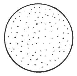 FIG. 1. THESE 100 DOTS SHOW HOW MANY PEOPLE PER CENT.
ARE BORN BALD.
