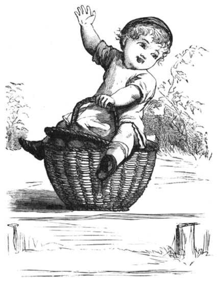 Albert sitting on the basket lid
