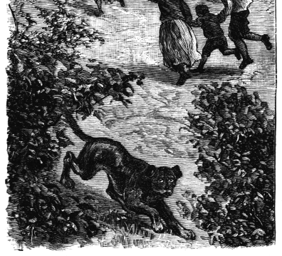 children running toward cabin, dog runnning into brush