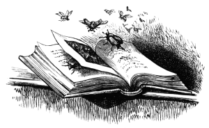Birds flying out of an open book