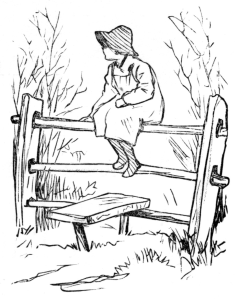 Child sitting on fence