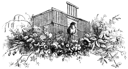 Bird in a cage with an open door. Cage is surrounded by branges and flowers
