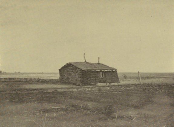 A TYPICAL SOD HOUSE