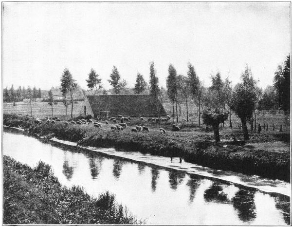 CANAL AND SHEEP, A VIEW OF BELGIAN COUNTRYSIDE