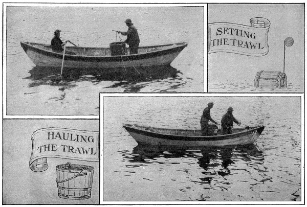 Setting the trawl; Hauling the trawl