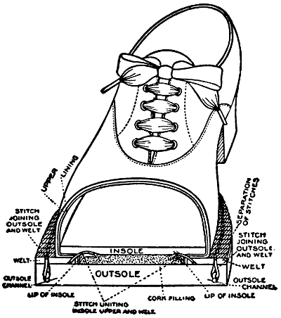 Section of shoe